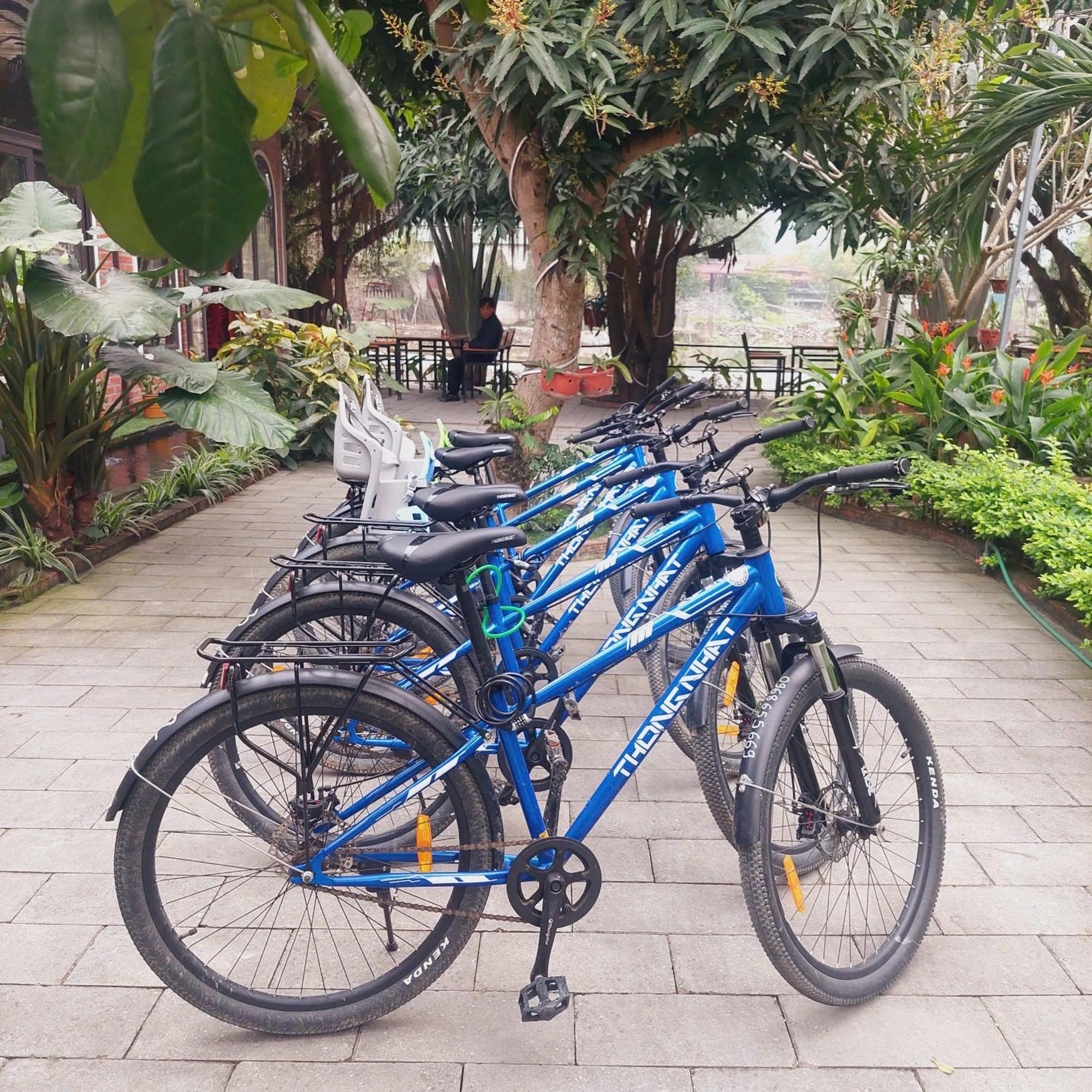 Ninh Binh Mountain Side Homestay & Cafe Extérieur photo